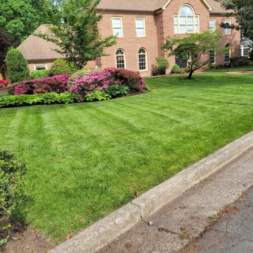 E&C Landscaping Services