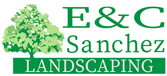 E and C Landscaping